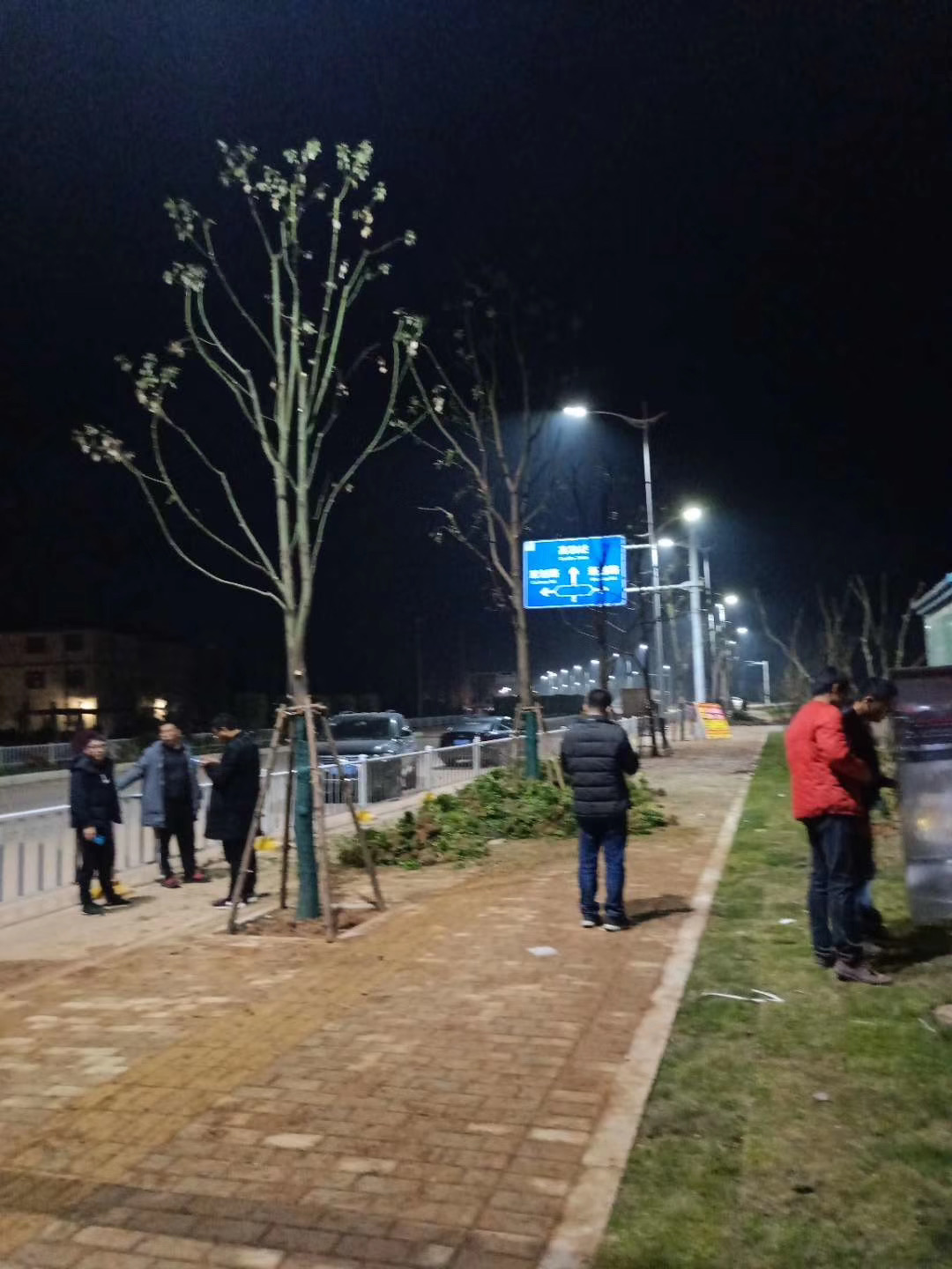 興國縣高鐵西站站前大道亮化工程