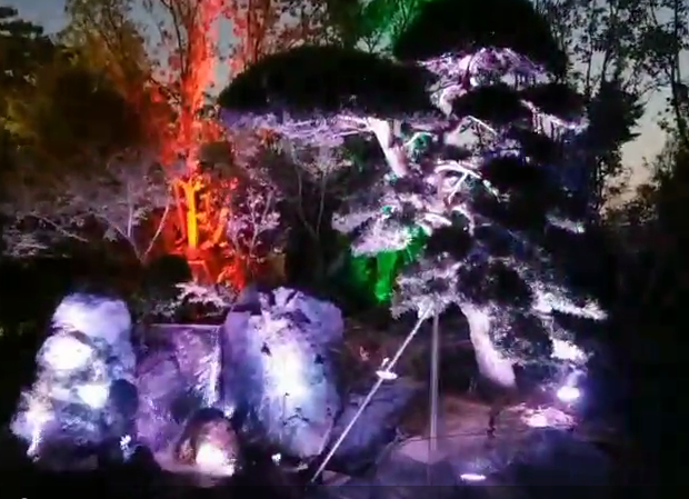 泉州園林亮化工程 泉州園林亮化工程