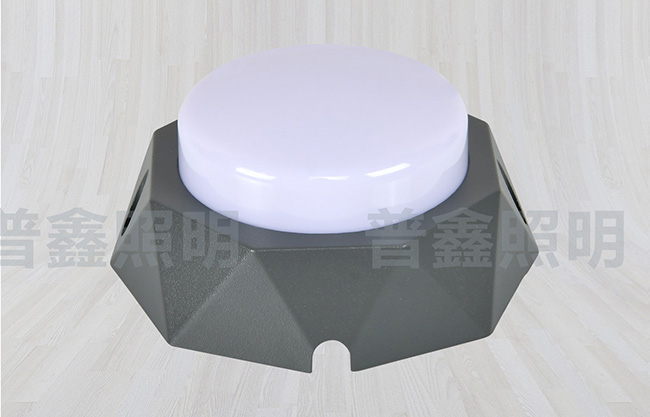 點(diǎn)光源系列 DGY-024 點(diǎn)光源系列 DGY-024