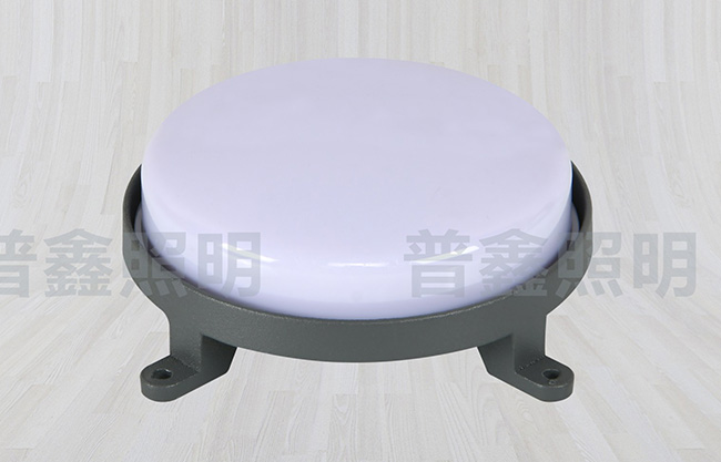 點(diǎn)光源系列 DGY-026