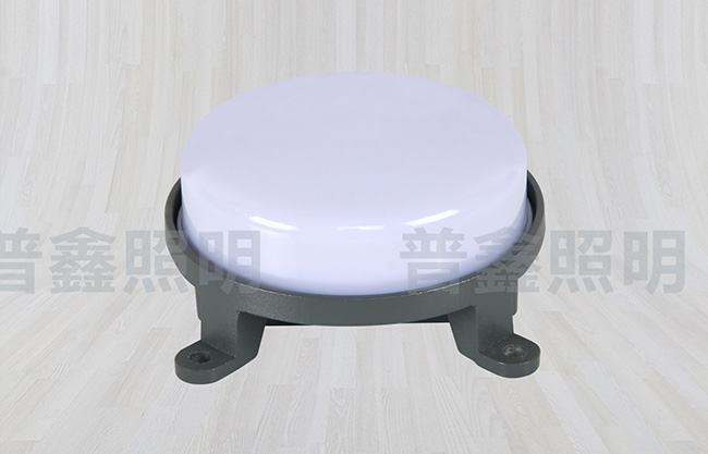 點(diǎn)光源系列 DGY-026