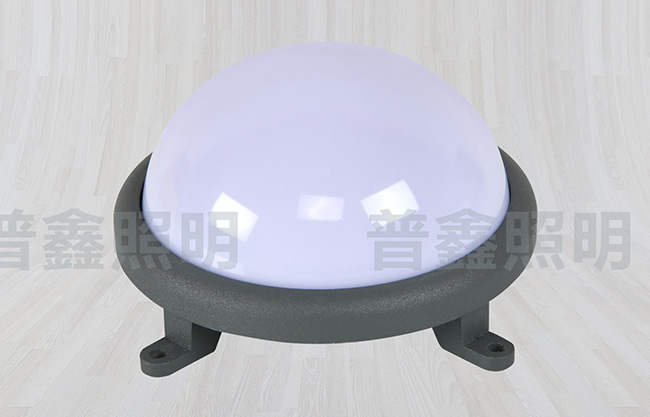 點(diǎn)光源系列 DGY-027 點(diǎn)光源系列 DGY-027