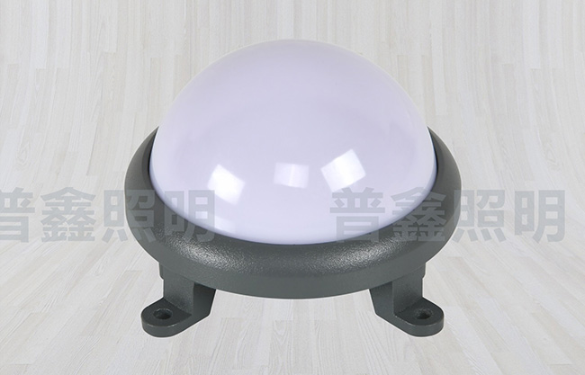 點(diǎn)光源系列 DGY-027 點(diǎn)光源系列 DGY-027