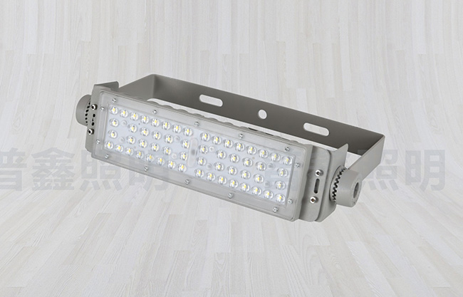 隧道燈系列 SDD-010