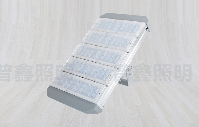 隧道燈系列 SDD-019